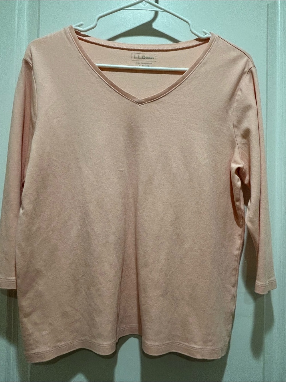 L.L. Bean Women's V-Neck Long Sleeve Tee in Light Pink